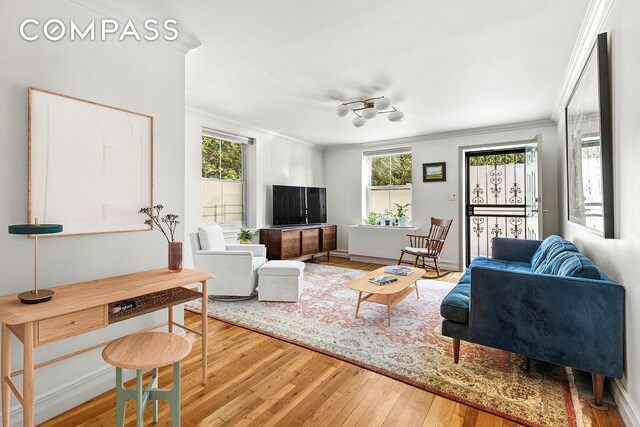 living room with hardwood / wood-style flooring, crown molding, and plenty of natural light