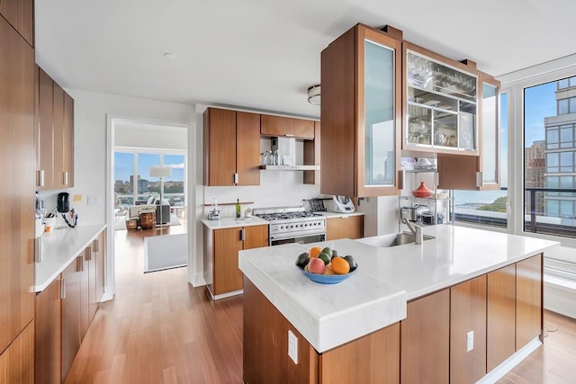 kitchen featuring high end stove, light wood-type flooring, brown cabinets, and a sink