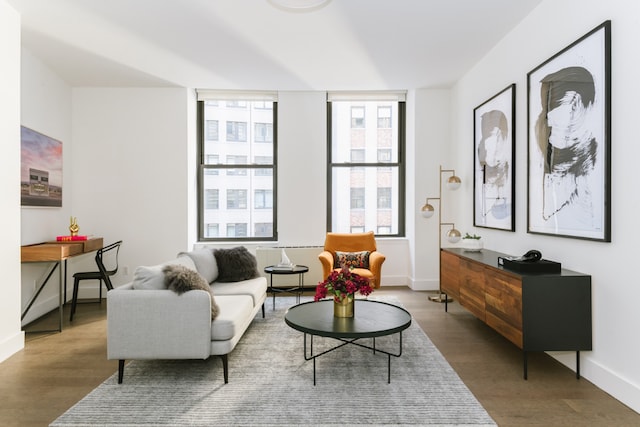 living room with hardwood / wood-style floors