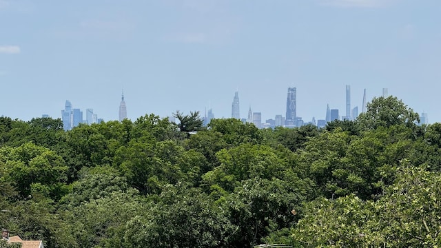 view of city