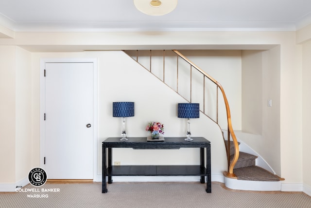 stairs featuring carpet flooring