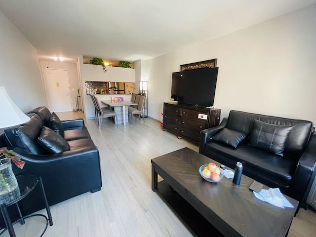 living room featuring light hardwood / wood-style flooring