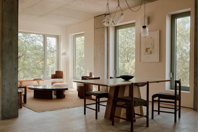 sunroom with a wealth of natural light