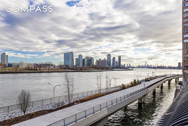 447 E 57th St Unit 14, New York City, NY 10022 - water view with city skyline