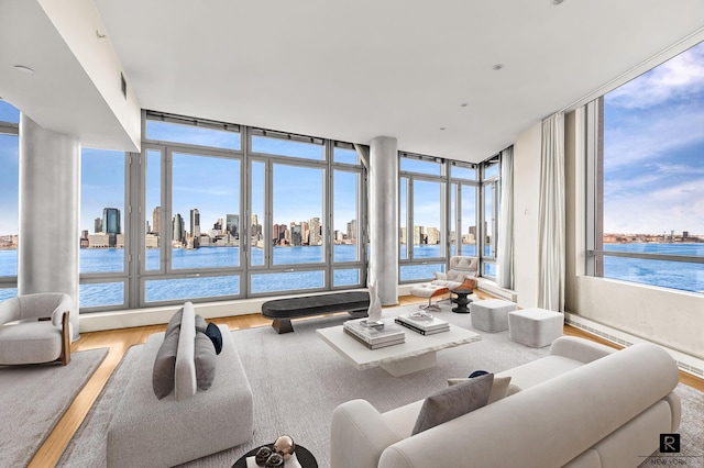 living room featuring a city view, wood finished floors, and floor to ceiling windows