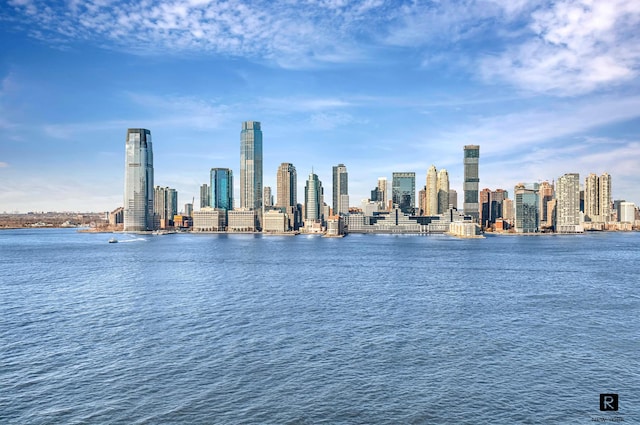 water view featuring a view of skyline
