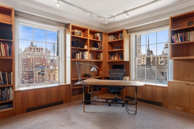 office with a healthy amount of sunlight, light carpet, and wood walls