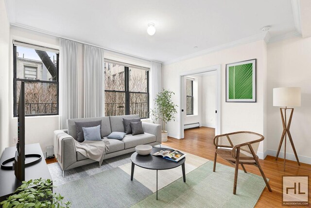 living room with ornamental molding, light hardwood / wood-style floors, and a baseboard heating unit