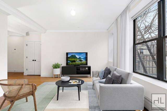 living room featuring crown molding and light hardwood / wood-style flooring