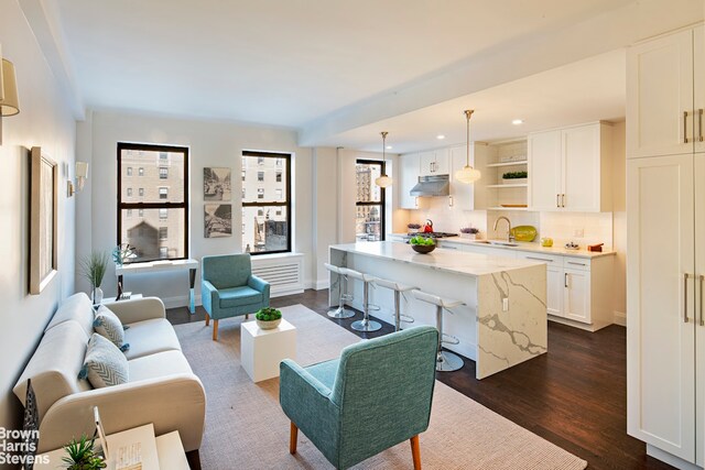 living room featuring sink and dark hardwood / wood-style floors