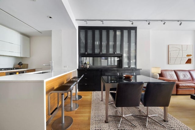 interior space with track lighting, sink, and light wood-type flooring