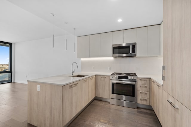 kitchen with light brown cabinetry, stainless steel appliances, modern cabinets, and a sink
