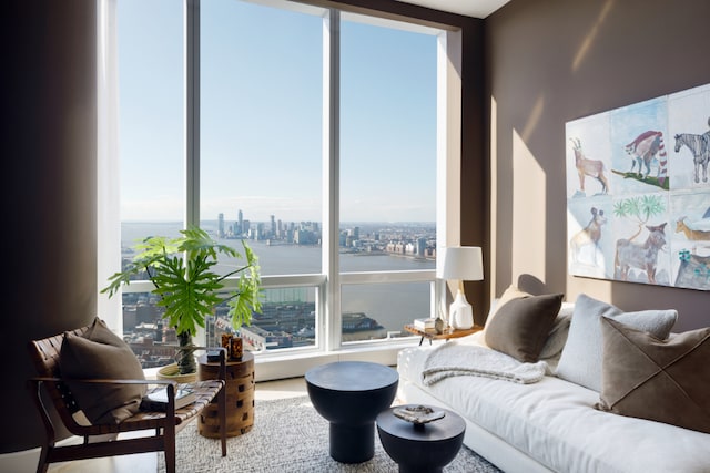 living room with a wealth of natural light