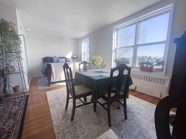 dining room featuring radiator heating unit and wood finished floors