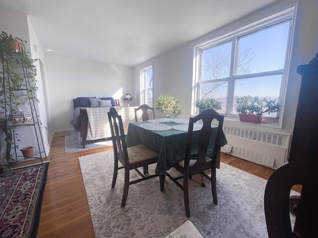 dining space with radiator heating unit and wood finished floors