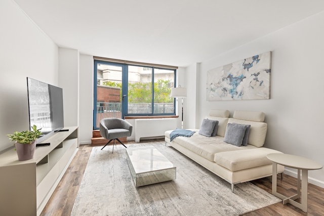 living area featuring wood finished floors and baseboards