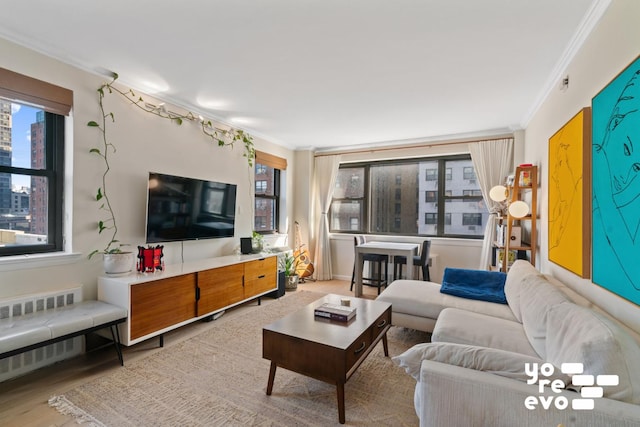 living area featuring radiator heating unit, wood finished floors, and ornamental molding