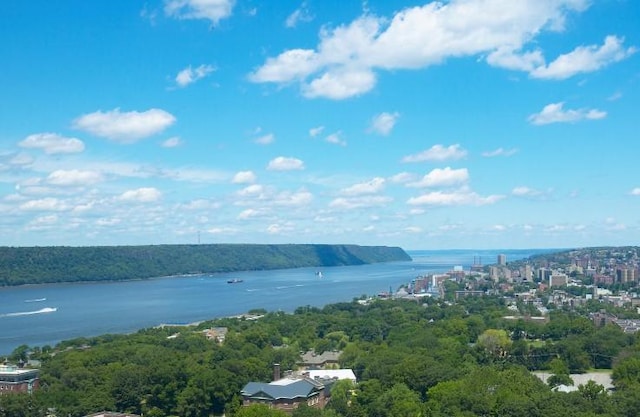 water view featuring a view of trees