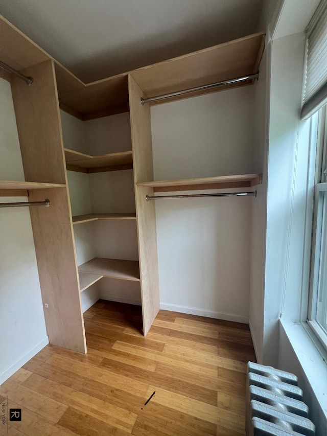 spacious closet featuring radiator heating unit and wood finished floors