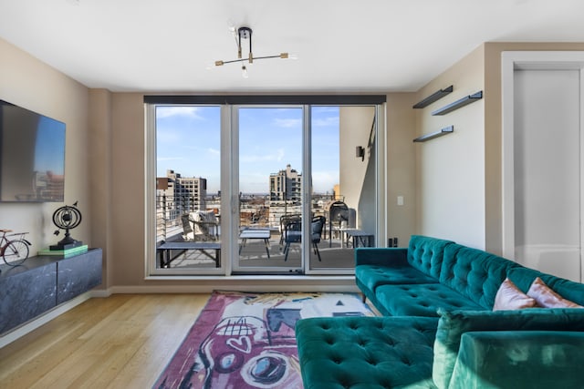 living room with light hardwood / wood-style floors