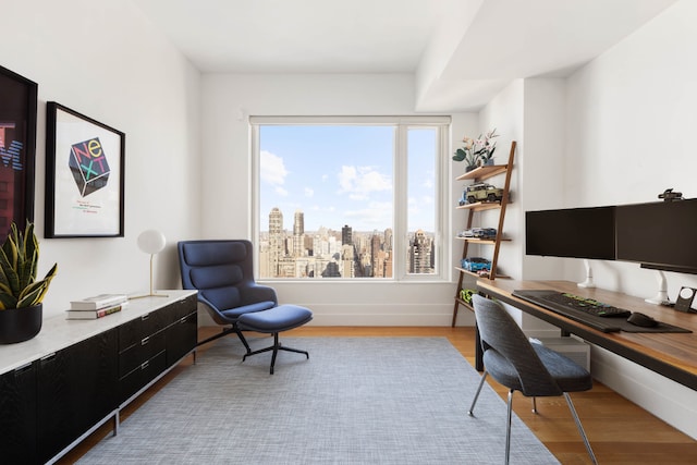 home office featuring light hardwood / wood-style flooring