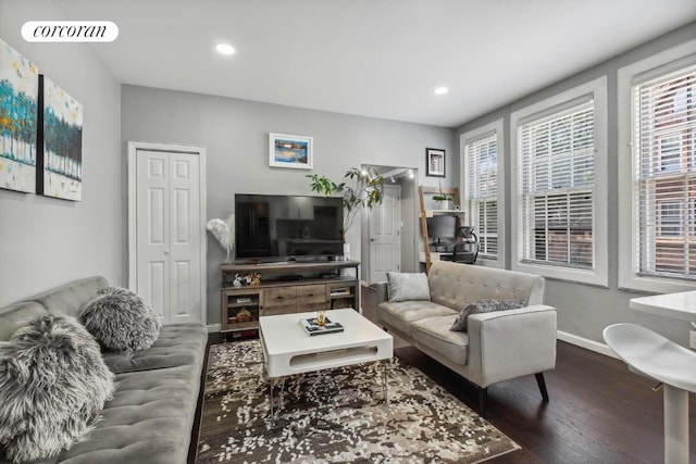 living room with dark hardwood / wood-style flooring