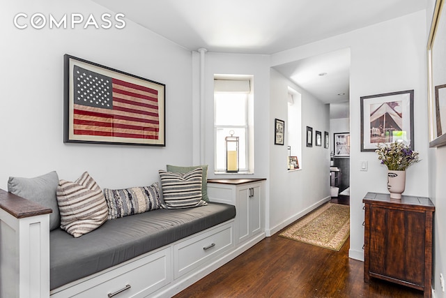 interior space featuring baseboards and dark wood-type flooring