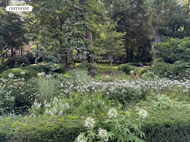 32 Gramercy Park S Unit 7F, New York City, NY 10003 - view of nature