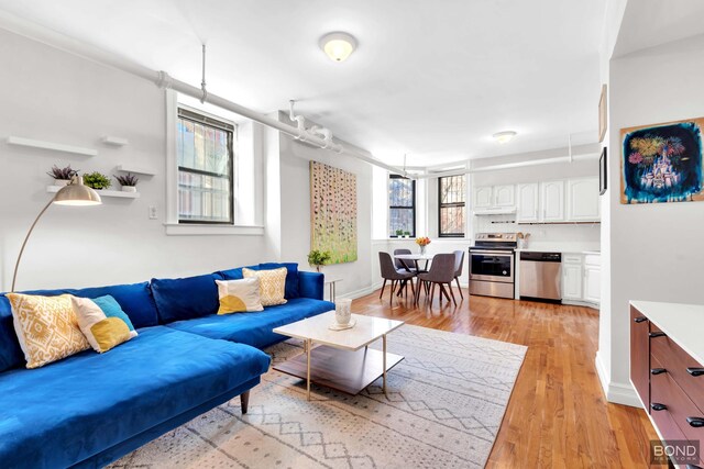 living room with hardwood / wood-style flooring