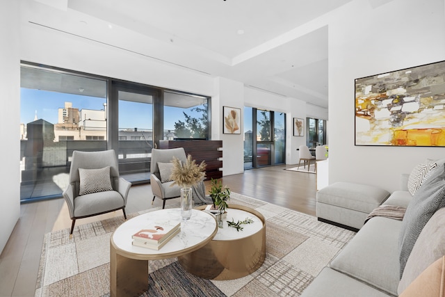 living room featuring light wood-style flooring, a tray ceiling, and a city view