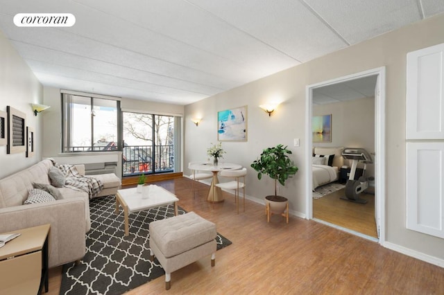 living room featuring wood-type flooring