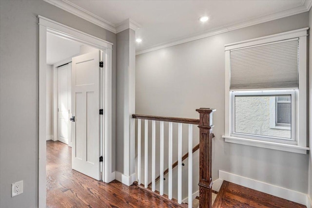 hallway with ornamental molding and dark hardwood / wood-style floors