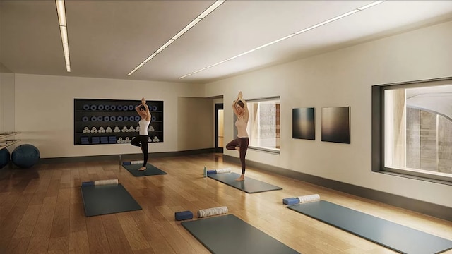 exercise area featuring wood-type flooring