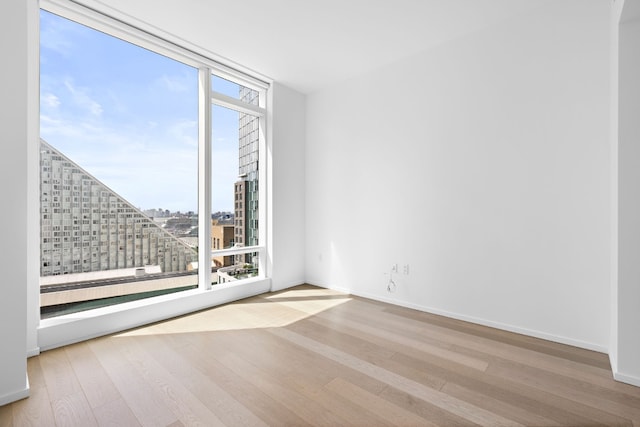 empty room with light hardwood / wood-style flooring and floor to ceiling windows