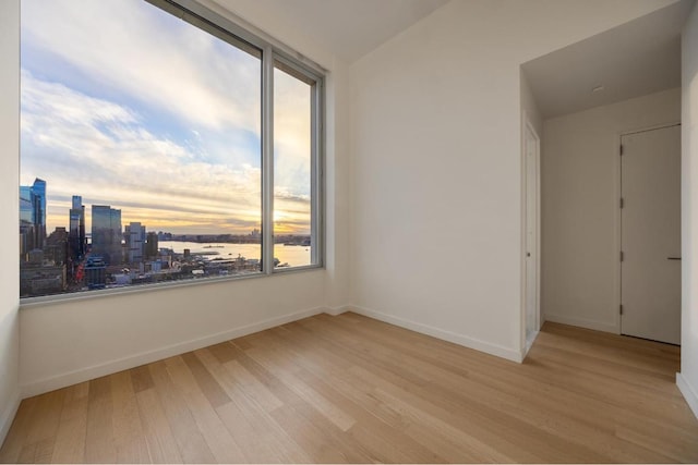 spare room with a water view and light wood-type flooring