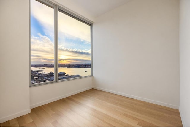 spare room with light hardwood / wood-style flooring and a water view