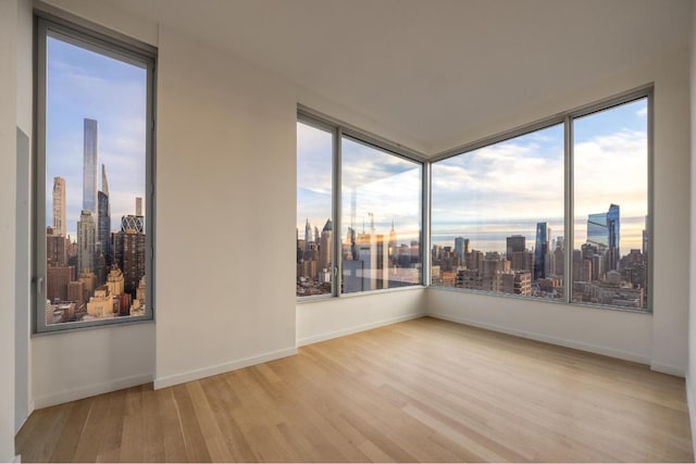 unfurnished room with light hardwood / wood-style flooring