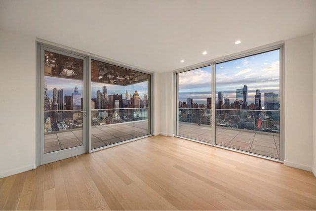 empty room featuring expansive windows and light wood-type flooring