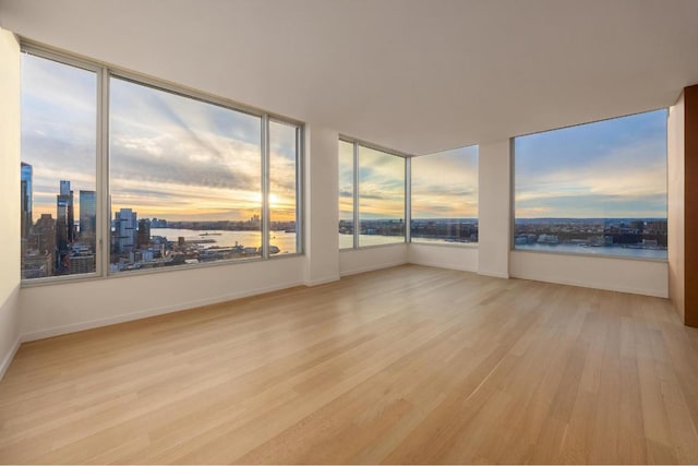 unfurnished room featuring a water view and light hardwood / wood-style flooring