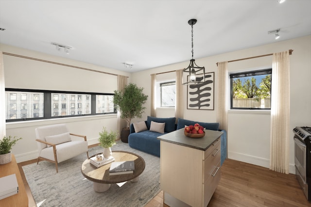 living room featuring rail lighting and light hardwood / wood-style floors