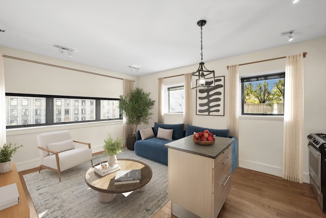 living room with track lighting, baseboards, and wood finished floors