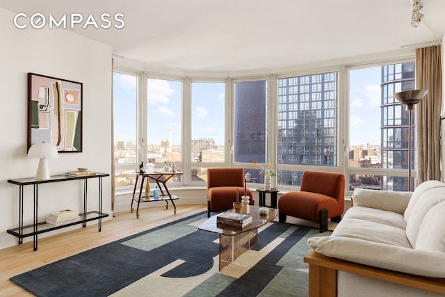 living room featuring a city view, wood finished floors, and a wealth of natural light