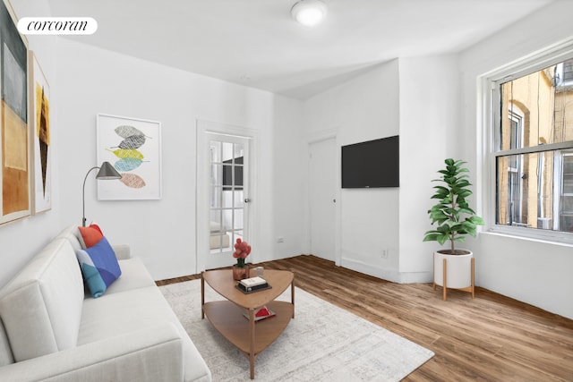 living room with hardwood / wood-style flooring