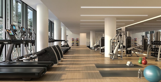 gym featuring hardwood / wood-style flooring and a wall of windows