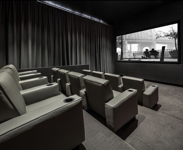 cinema with carpet floors and baseboards