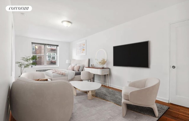 living room with wood-type flooring