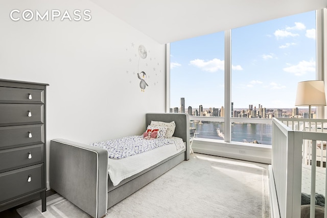 carpeted bedroom featuring a view of city