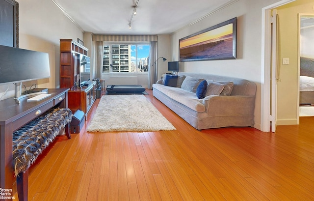 living room featuring light hardwood / wood-style flooring, ornamental molding, and rail lighting