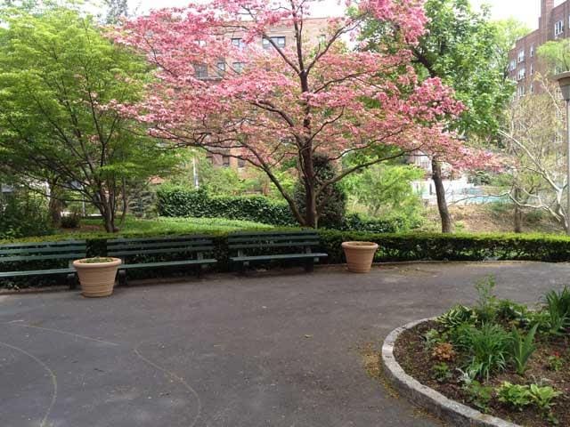 view of community with a patio