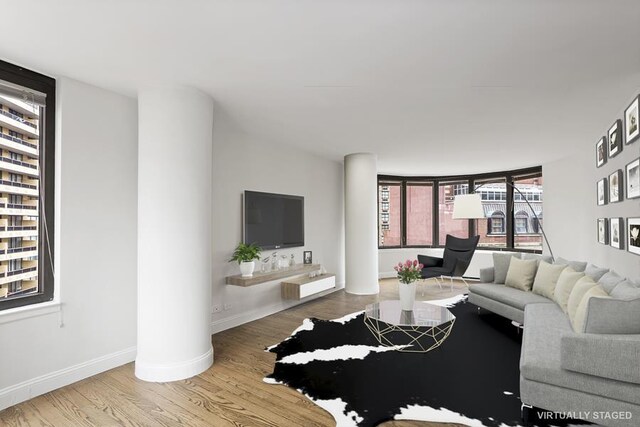 living room featuring wood-type flooring